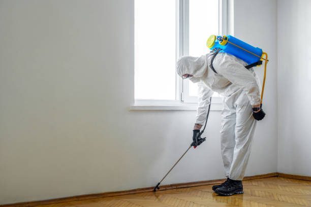 Best Pest Prevention Services  in Huntington Woods, MI